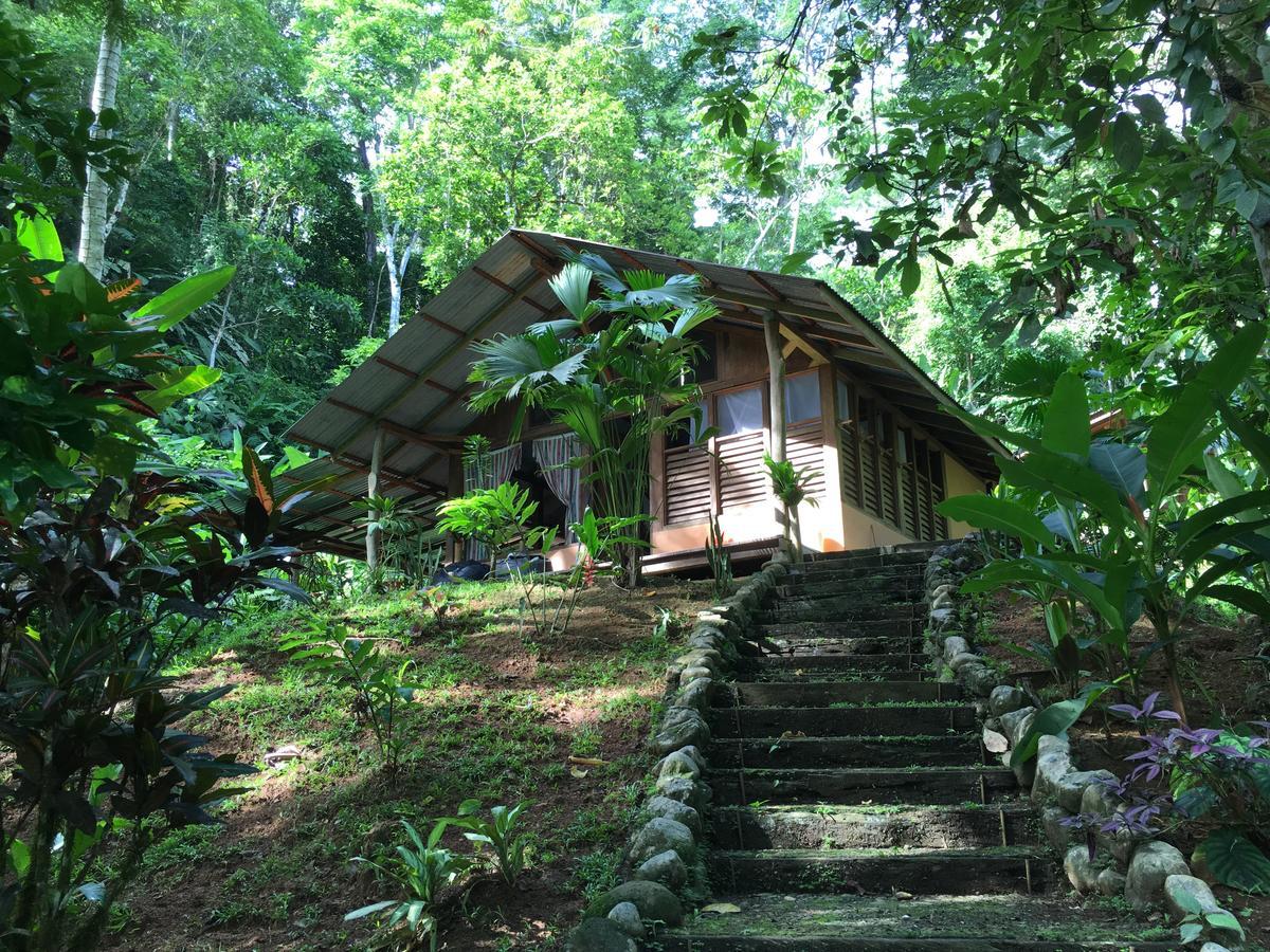 Amazonita Ecolodge Dos Brazos Exterior photo