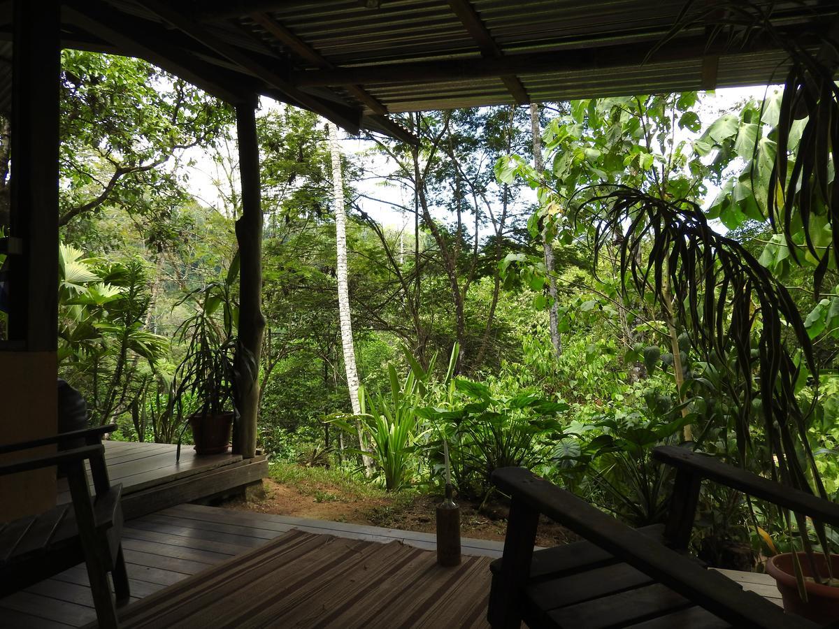 Amazonita Ecolodge Dos Brazos Exterior photo