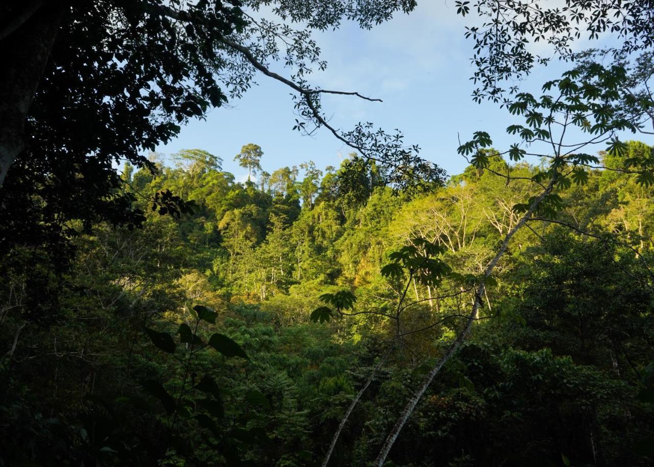 Amazonita Ecolodge Dos Brazos Exterior photo