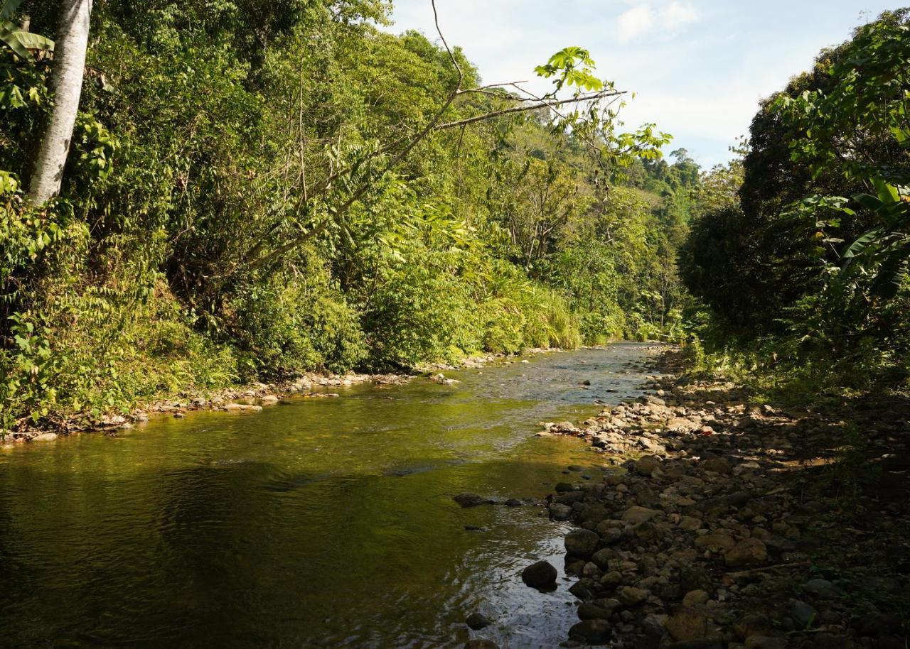 Amazonita Ecolodge Dos Brazos Exterior photo