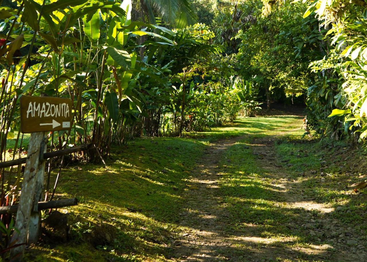 Amazonita Ecolodge Dos Brazos Exterior photo